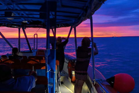 Tropical Light Sundowner Cruise With Drinks Included - Pubs Sydney 5