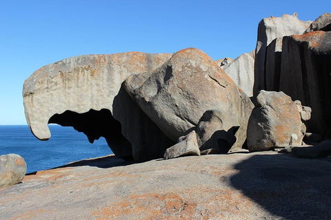 Kangaroo Island Personal Group Tours - Pubs Sydney 2