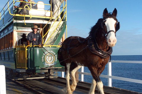 Full-Day Tour In South Australia Highlights - Pubs Sydney 1