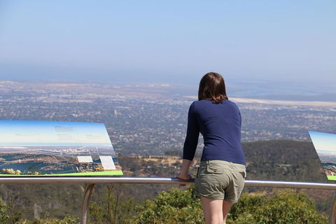 Self-Guided Waterfall Gully To Mount Lofty Hike From Adelaide - Pubs Sydney 0
