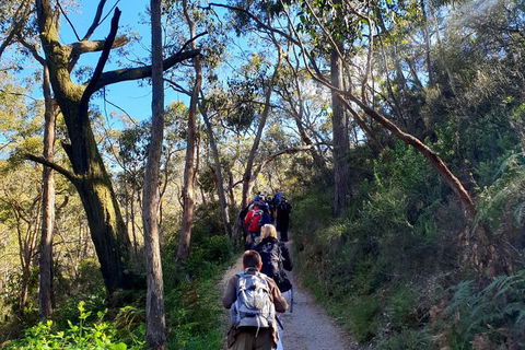 Self-Guided Waterfall Gully To Mount Lofty Hike From Adelaide - Pubs Sydney 1