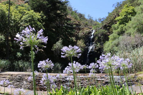 Self-Guided Waterfall Gully To Mount Lofty Hike From Adelaide - Pubs Sydney 3