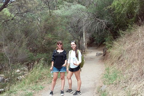 Self-Guided Waterfall Gully To Mount Lofty Hike From Adelaide - Pubs Sydney 4