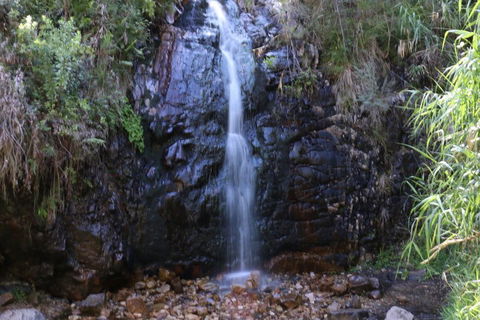 Self-Guided Waterfall Gully To Mount Lofty Hike From Adelaide - Pubs Sydney 5