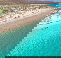 Ningaloo in a Day - Full Day Hike and Snorkel Tour with Lunch - Pubs Sydney