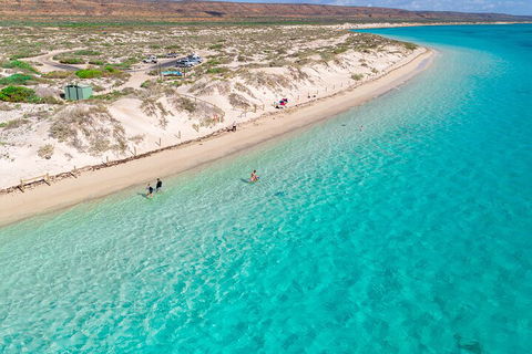 Ningaloo In A Day - Full Day Hike And Snorkel Tour With Lunch - Pubs Sydney 0