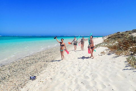 Ningaloo In A Day - Full Day Hike And Snorkel Tour With Lunch - Pubs Sydney 1