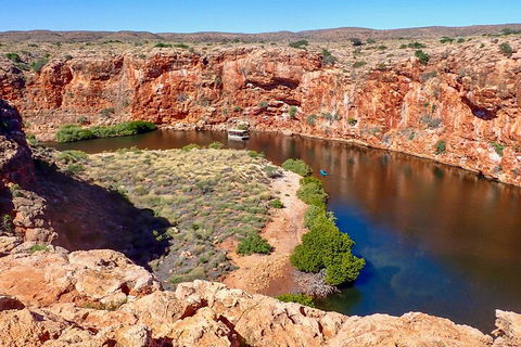 Ningaloo In A Day - Full Day Hike And Snorkel Tour With Lunch - Pubs Sydney 2