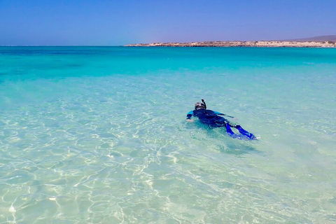 Ningaloo In A Day - Full Day Hike And Snorkel Tour With Lunch - Pubs Sydney 4