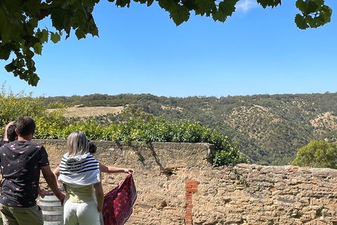 Private Mclaren Vale Wine Tour - Pubs Sydney 2