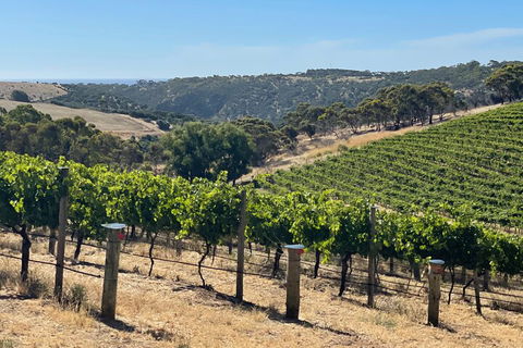 Private Mclaren Vale Wine Tour - Pubs Sydney 3