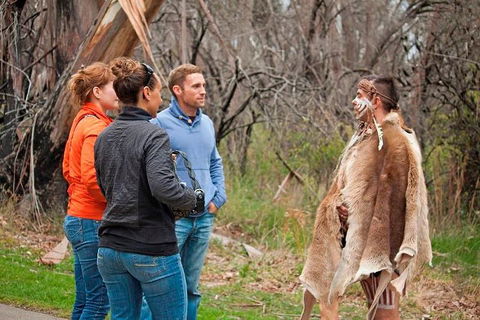 Blue Mountains Tour From Sydney With An Aboriginal Experience - Pubs Sydney 3