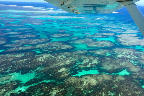 Shipwreck Special Full Day Tour Of The Abrolhos Islands - Pubs Sydney 1