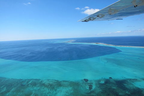 Shipwreck Special Full Day Tour Of The Abrolhos Islands - Pubs Sydney 2