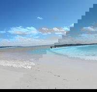 Shipwreck Special Nature Tour/Half Day Tour - Pubs Sydney