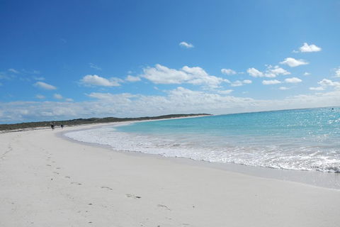 Shipwreck Special Nature Tour/Half Day Tour - Pubs Sydney 0