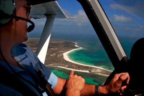 Shipwreck Special Nature Tour/Half Day Tour - Pubs Sydney 1