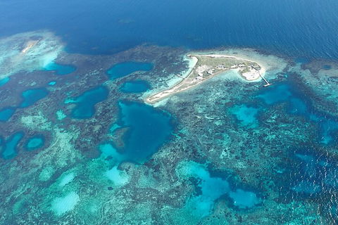 Shipwreck Special Nature Tour/Half Day Tour - Pubs Sydney 5