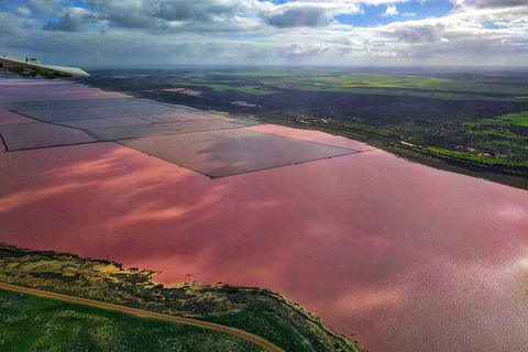 Kalbarri, Pink Lake And Abrolhos Islands Nature Tour - Pubs Sydney 1