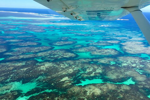 Kalbarri, Pink Lake And Abrolhos Islands Nature Tour - Pubs Sydney 5