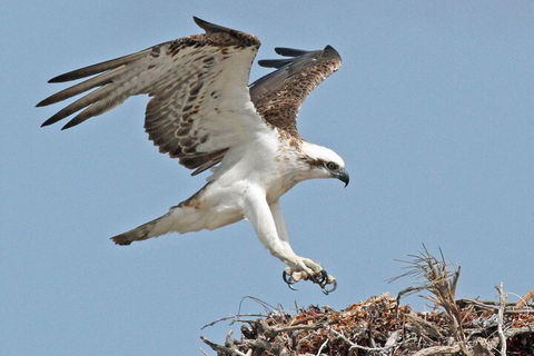 Pink Lake + Abrolhos Islands Nature Tour - Pubs Sydney 3