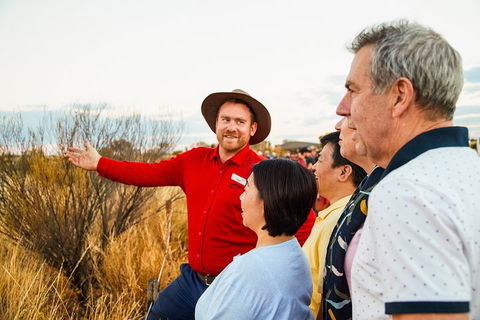 Uluru (Ayers Rock) Sunset With Outback Barbecue Dinner And Star Tour - Pubs Sydney 3
