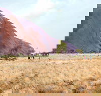Uluru Sunrise and Guided Base Walk - Pubs Sydney