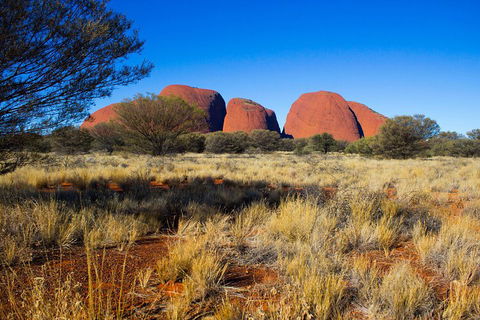 Kata Tjuta Sunrise And Valley Of The Winds Half-Day Trip - Pubs Sydney 1