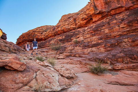 Kings Canyon Guided Rim Walk - Pubs Sydney 0