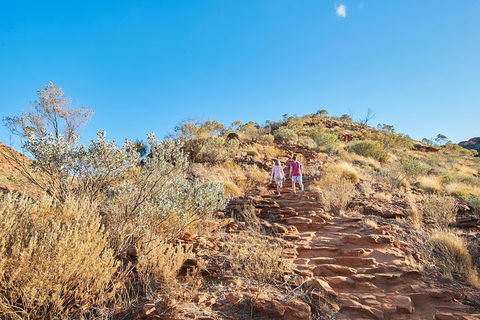 Kings Canyon Guided Rim Walk - Pubs Sydney 1
