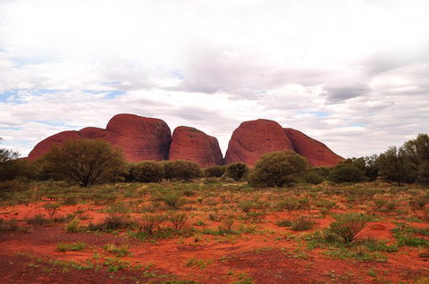 Ayers Rock 4 Tour Combo: Complete Uluru Base Walk At Sunrise, Valley Of The Winds At Sunrise, Kata Tjuta Sunset And Uluru Sunset - Pubs Sydney 1