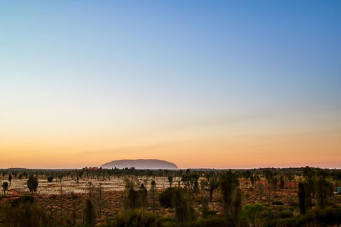 Uluru (Ayers Rock) Field Of Light Sunrise Tour - Pubs Sydney 0