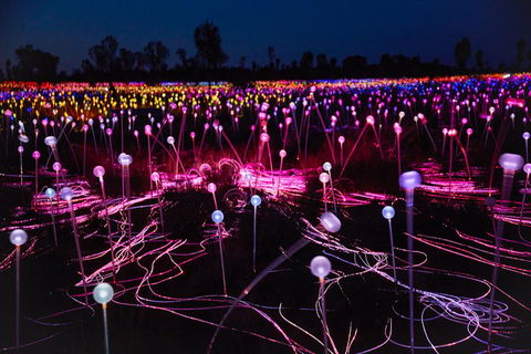 Uluru (Ayers Rock) Field Of Light Sunrise Tour - Pubs Sydney 1