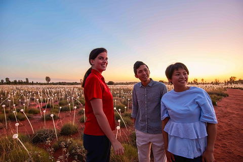 Uluru (Ayers Rock) Field Of Light Sunrise Tour - Pubs Sydney 2