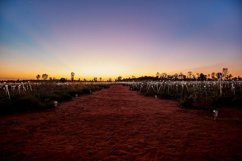 Uluru (Ayers Rock) Field Of Light Sunrise Tour - Pubs Sydney 3