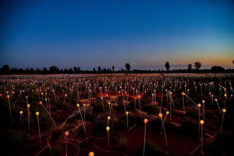 Uluru (Ayers Rock) Field Of Light Sunrise Tour - Pubs Sydney 4