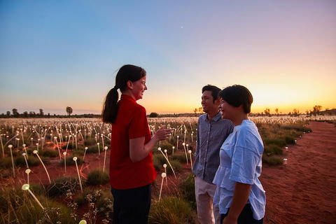 Uluru (Ayers Rock) Field Of Light Sunrise Tour - Pubs Sydney 5