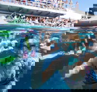 Great Barrier Reef Day Cruise from Cairns Including Snorkeling and Marine Biologist Presentation - Pubs Sydney