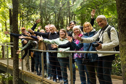 All Inclusive Blue Mountains Small-Group Day Trip From Sydney - Pubs Sydney 5