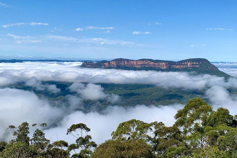 Small-Group Blue Mountains Tour With A Local Guide - Pubs Sydney 4