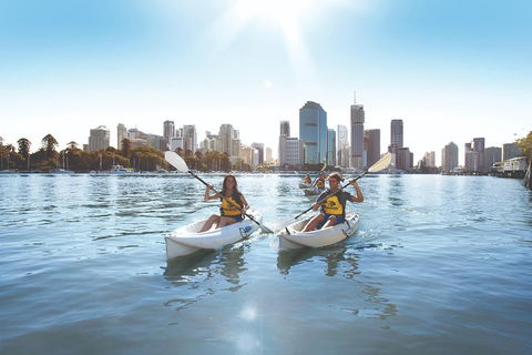 Brisbane Kayak Tour - Pubs Sydney 0