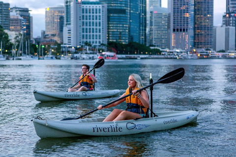 Brisbane Kayak Tour - Pubs Sydney 3