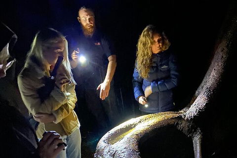 Evening Rainforest & Glow Worm Experience - Pubs Sydney 2