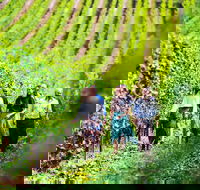 Tasmanian Wine Tour - Pubs Sydney