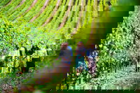 Tasmanian Wine Tour, Hobart