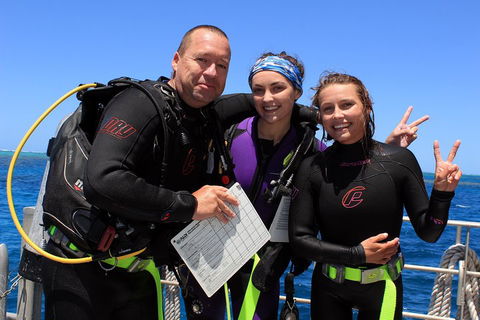 Quicksilver Dive 4 Day PADI Learn To Dive Course - Pubs Sydney 0