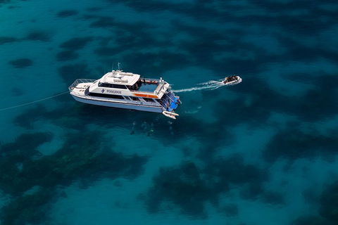 Quicksilver Dive 4 Day PADI Learn To Dive Course - Pubs Sydney 1