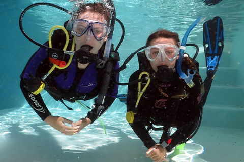 Quicksilver Dive 4 Day PADI Learn To Dive Course - Pubs Sydney 2