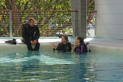 Quicksilver Dive 4 Day PADI Learn To Dive Course - Pubs Sydney 3