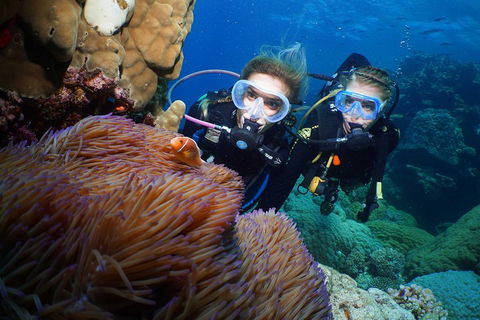 Quicksilver Dive 4 Day PADI Learn To Dive Course - Pubs Sydney 4